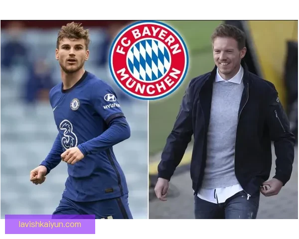 德甲新加盟球员表现稳健，分析转会市场动态与潜在影响